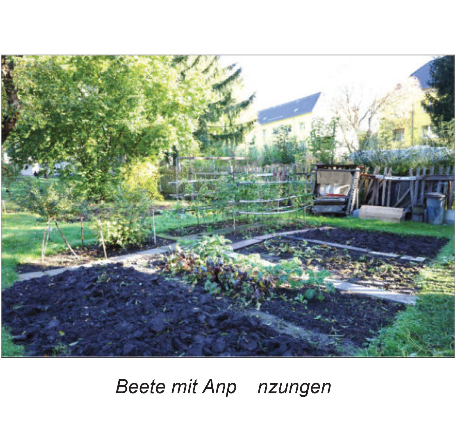 thueringen 0016K0023-2023 Hinter Stielerstraße 11, 99867 Gotha 11