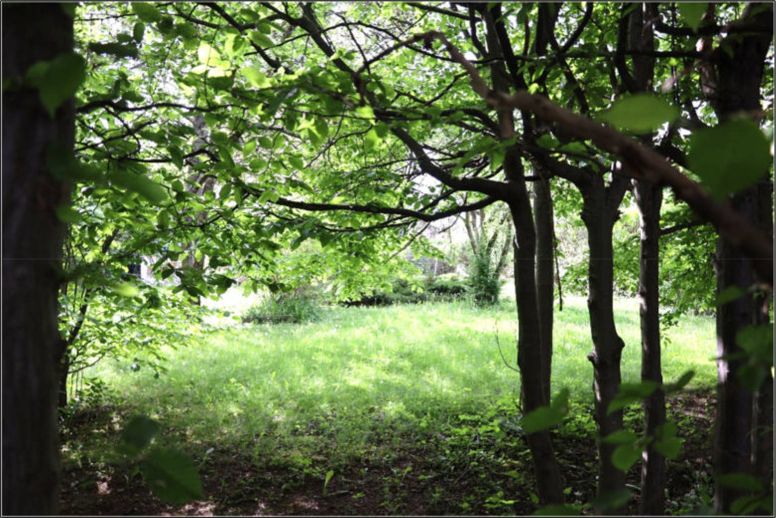 thueringen 0016 K 0028/2024 An der Goldbacher Straße, 99867 Gotha 9