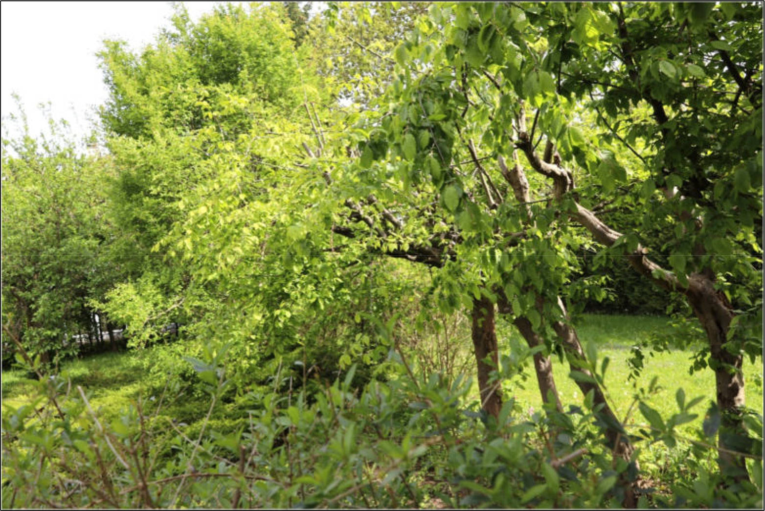 thueringen 0016 K 0028/2024 An der Goldbacher Straße, 99867 Gotha 7