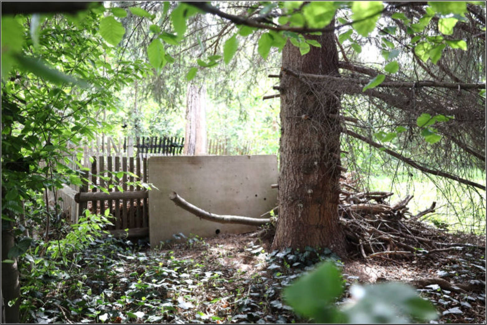 thueringen 0016 K 0028/2024 An der Goldbacher Straße, 99867 Gotha 8