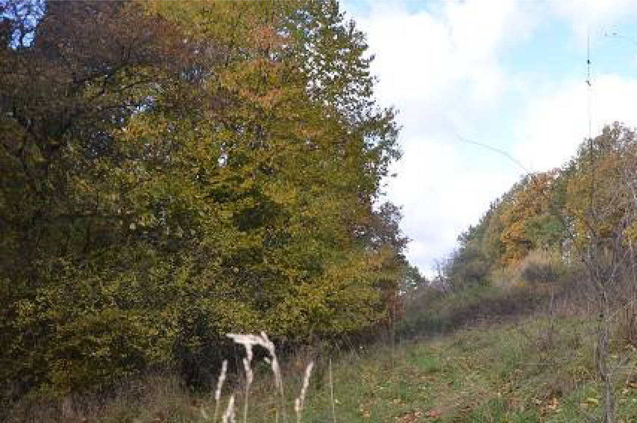 thueringen 0041K0028-2023 im Außenbereich, Bereich "An der Liete", 36414 Unterbreizbach OT Mühlwärts