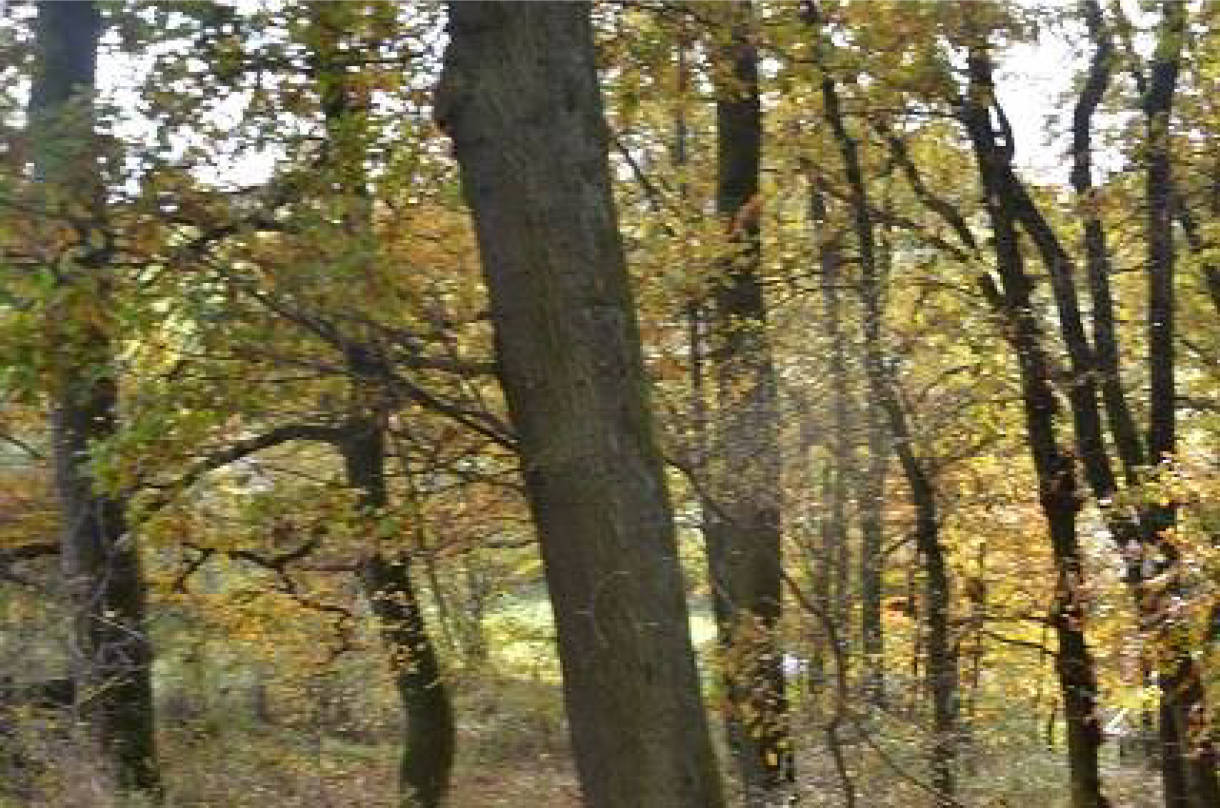thueringen 0041K0028-2023 im Außenbereich, Bereich "An der Liete", 36414 Unterbreizbach OT Mühlwärts