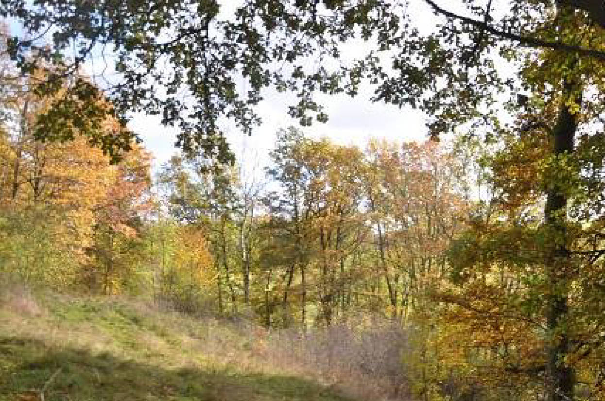 thueringen 0041K0028-2023 im Außenbereich, Bereich "An der Liete", 36414 Unterbreizbach OT Mühlwärts