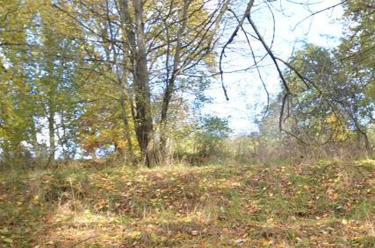 thueringen 0041K0028-2023 im Außenbereich, Bereich "An der Liete", 36414 Unterbreizbach OT Mühlwärts
