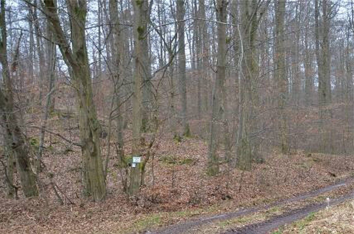 thueringen 0041K0034-2024 Am Kirchberg, 99834 Gerstungen OT Wolfsburg-Unkeroda 8