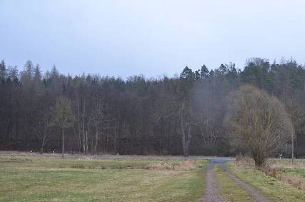 thueringen 0041K0034-2024 Am Kirchberg, 99834 Gerstungen OT Wolfsburg-Unkeroda 9