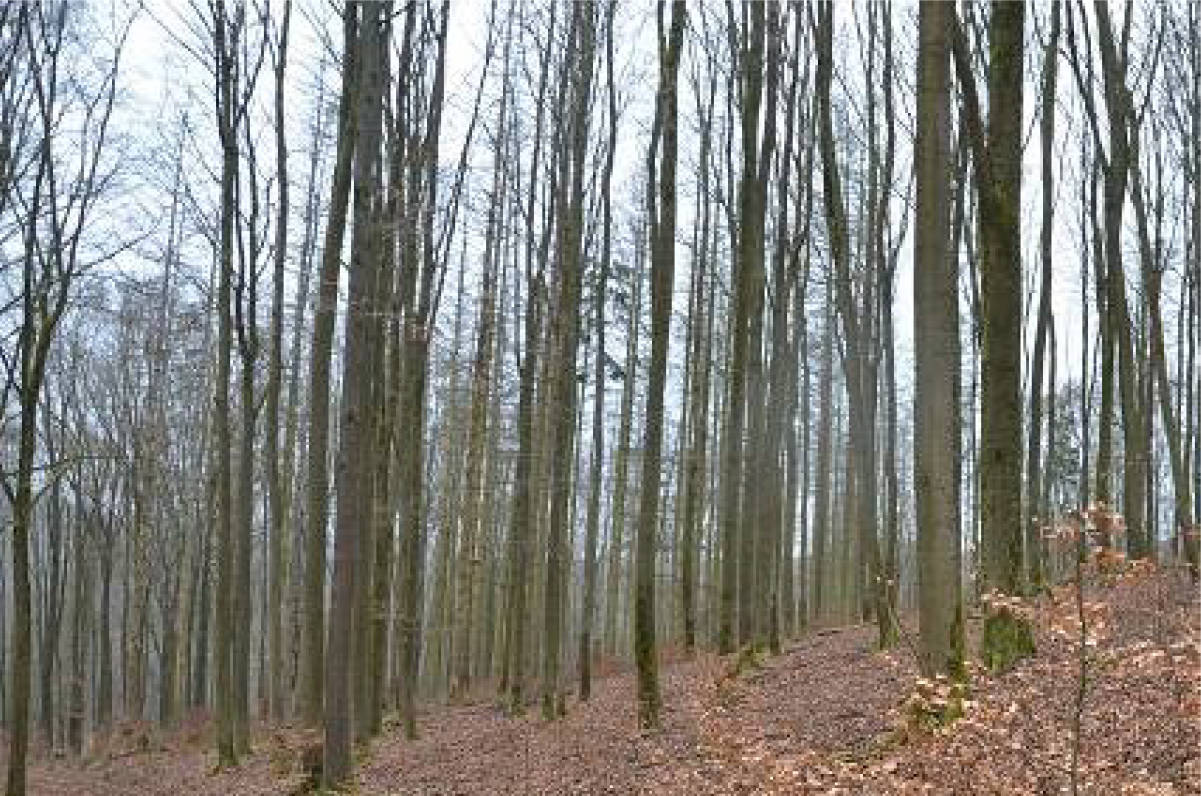 thueringen 0041K0034-2024 Am Kirchberg, 99834 Gerstungen OT Wolfsburg-Unkeroda 6