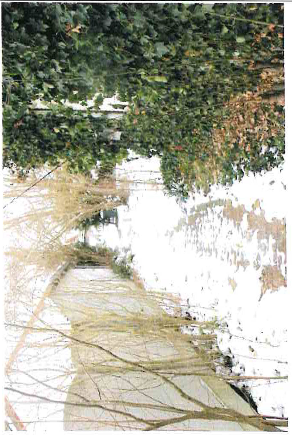 Einfamilienhaus in Hans-Hahn-Straße 4, 36469 Bad Salzungen OT Oberrohn - Bild 5