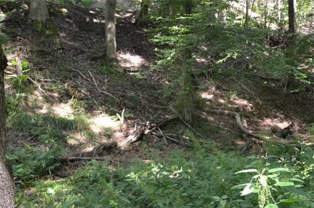 Im Mittelberger Grund, 99842 Ruhla