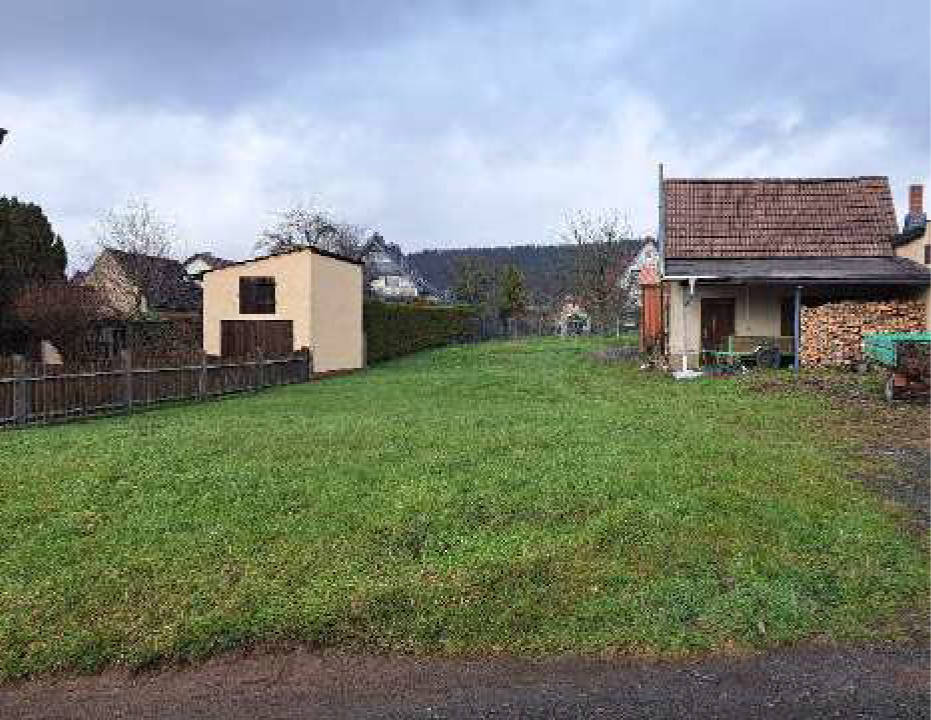 thueringen 0042K0009/2022 Friedensstraße n.n., 36457 Weilar 9