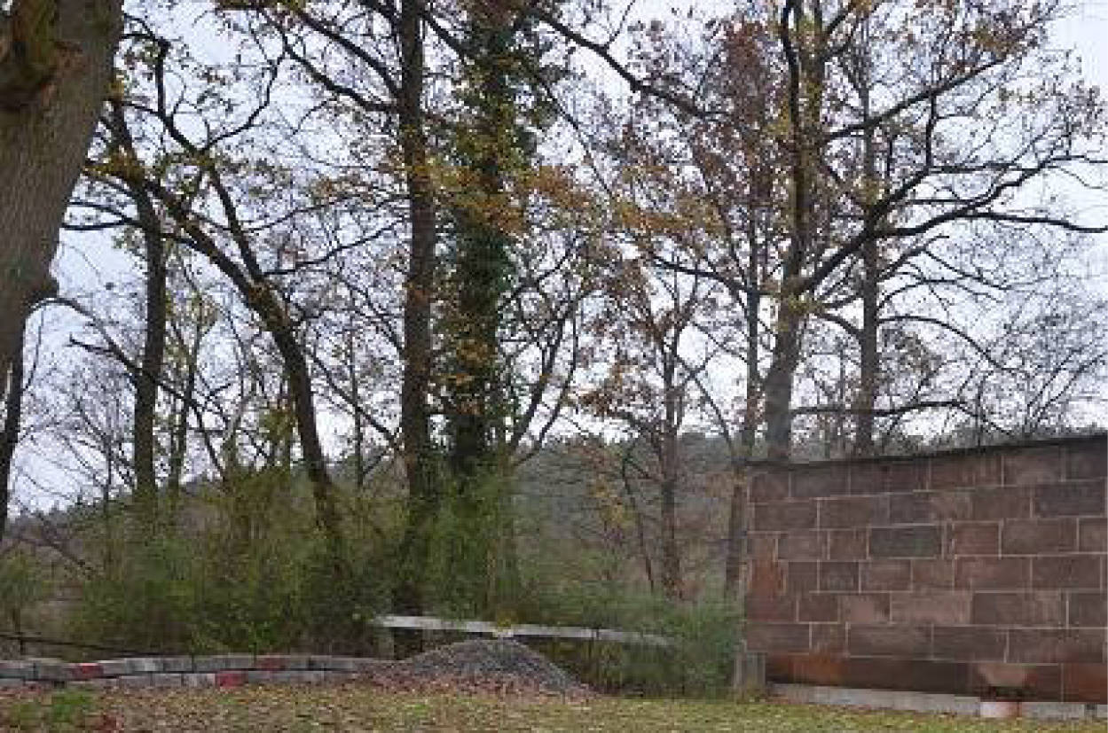 thueringen 0042K0013-2022 Am Frankenstein 13, 36433 Bad Salzungen OT Allendorf-Kloster 14