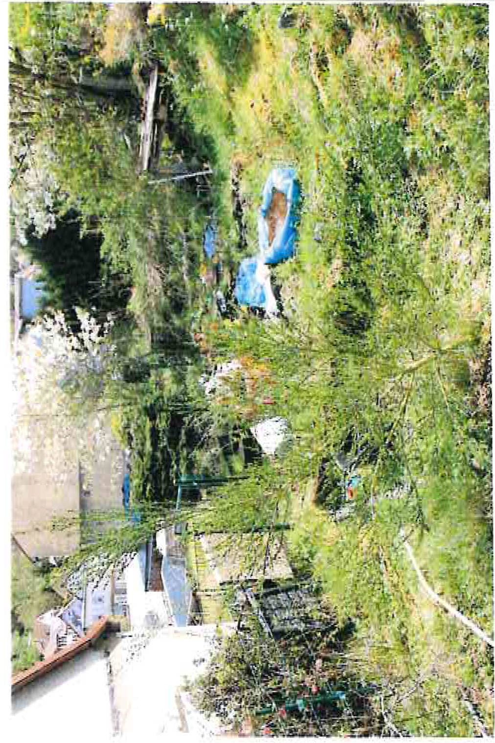 thueringen 0042 K 0039/2023 Dornsenberg 30a, 99842 Ruhla 13