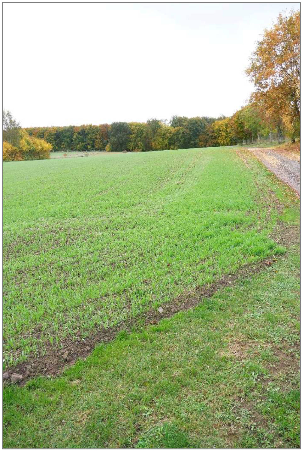 thueringen 0071 K 0023/2025 Das Haardfeld, 99734 Nordhausen , Steigerthal 3