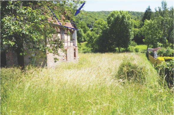 Eigentumswohnung in Teichtal  104, 99752 Bleicherode , Hainrode - Bild 4