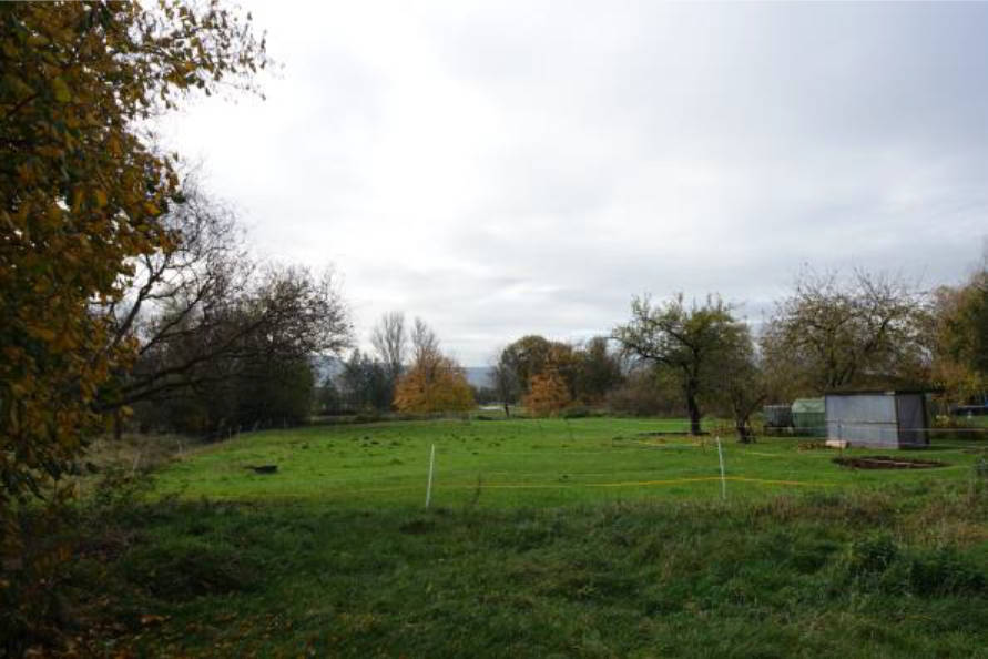 Wohn-/Geschäftshaus in Dorfstraße 36, 99752 Bleicherode , OT Wollersleben - Bild 3