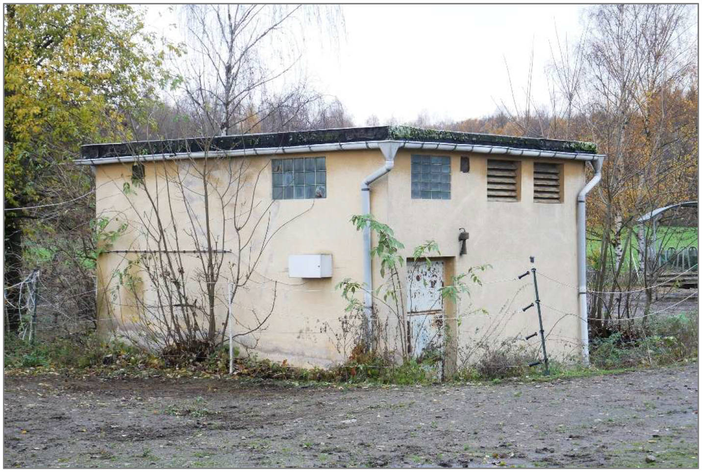 gemischt genutztes Objekt & landwirtschaftliche Grundstücke in Zorger Landstraße  3, 99755 Ellrich - Bild 2