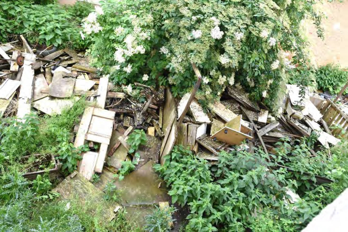 thueringen K 0003/2024 Am Wasserwerk  6, 04639 Ponitz, Merlach 7