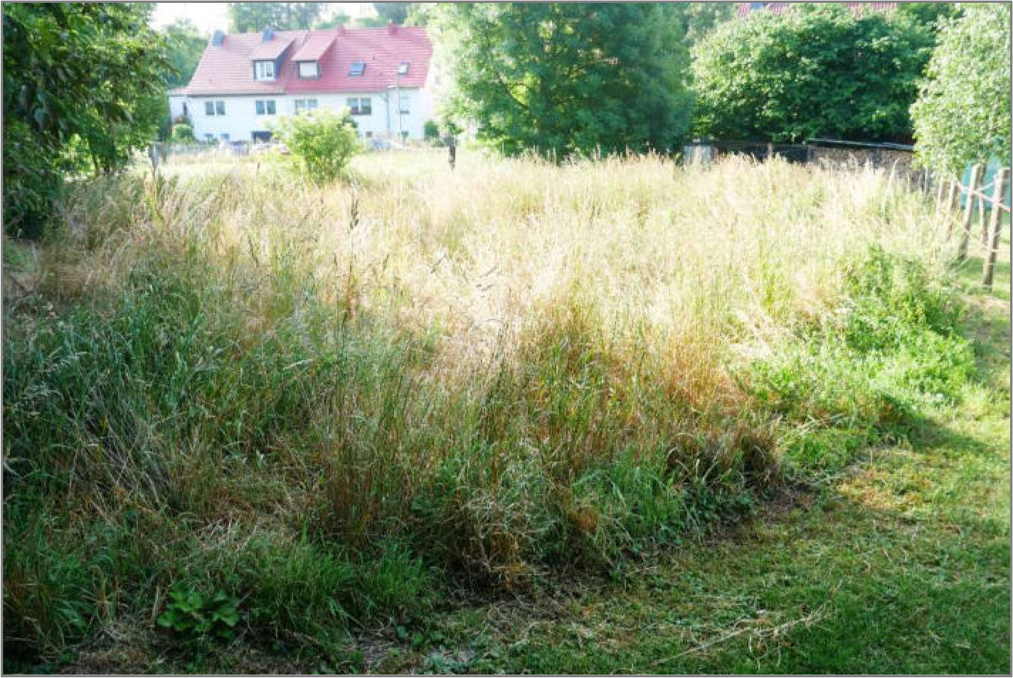 thueringen K 0003/2025 In der Lanitz, 99518 Bad Sulza 9