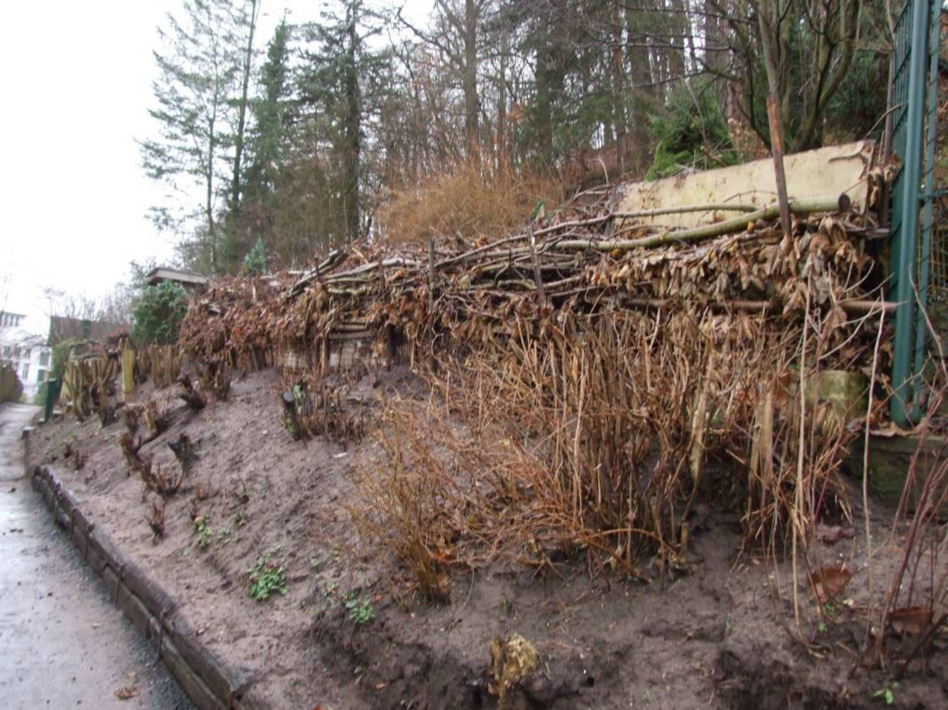 Sonstiges, Gartengrundstück in Am weißen Rangen, 96515 Sonneberg - Bild 2