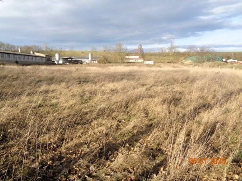 land- und forstwirtschaftlich genutztes Grundstück in An der Oßmannstedter Straße, 99510 Ilmtal-Weinstraße, Niederroßla - Bild 4