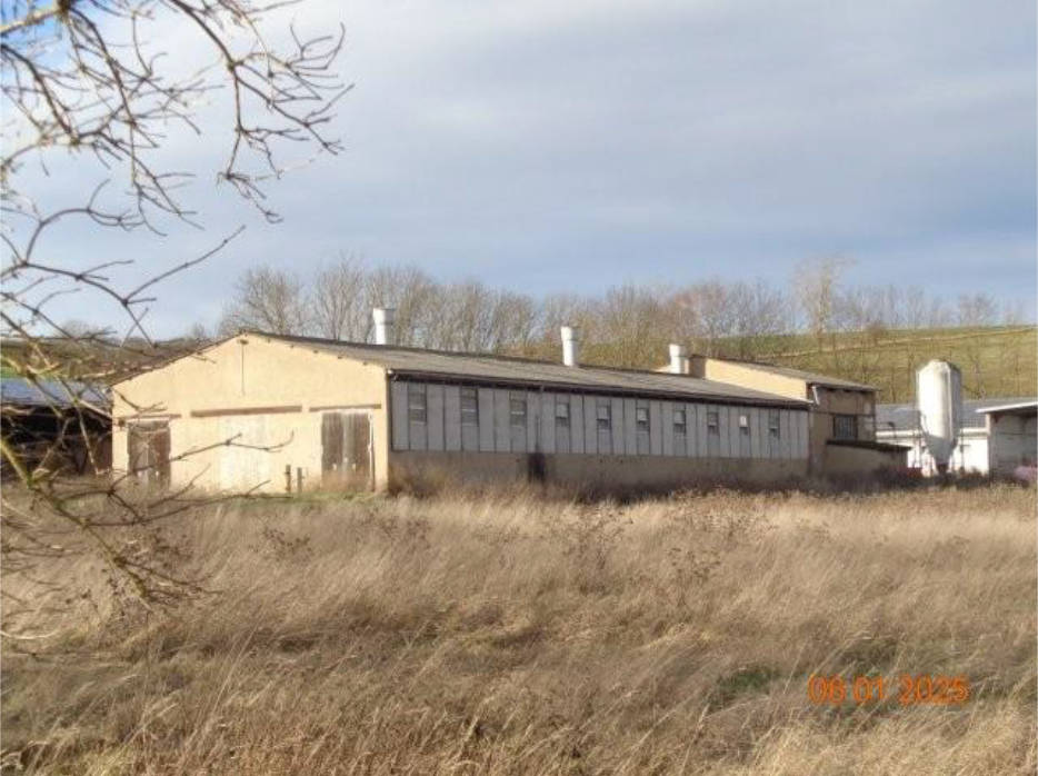 thueringen K 0006/2024 An der Oßmannstedter Straße, 99510 Ilmtal-Weinstraße, Niederroßla 11