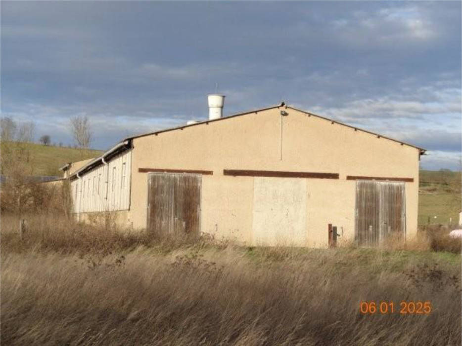 thueringen K 0006/2024 An der Oßmannstedter Straße, 99510 Ilmtal-Weinstraße, Niederroßla 6