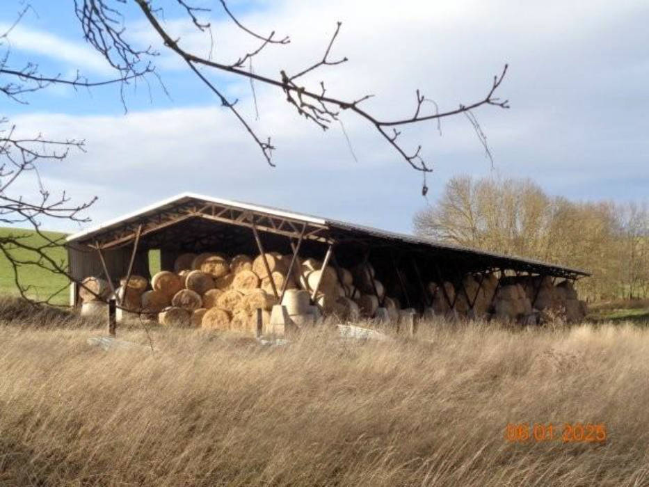 thueringen K 0006/2024 An der Oßmannstedter Straße, 99510 Ilmtal-Weinstraße, Niederroßla 17
