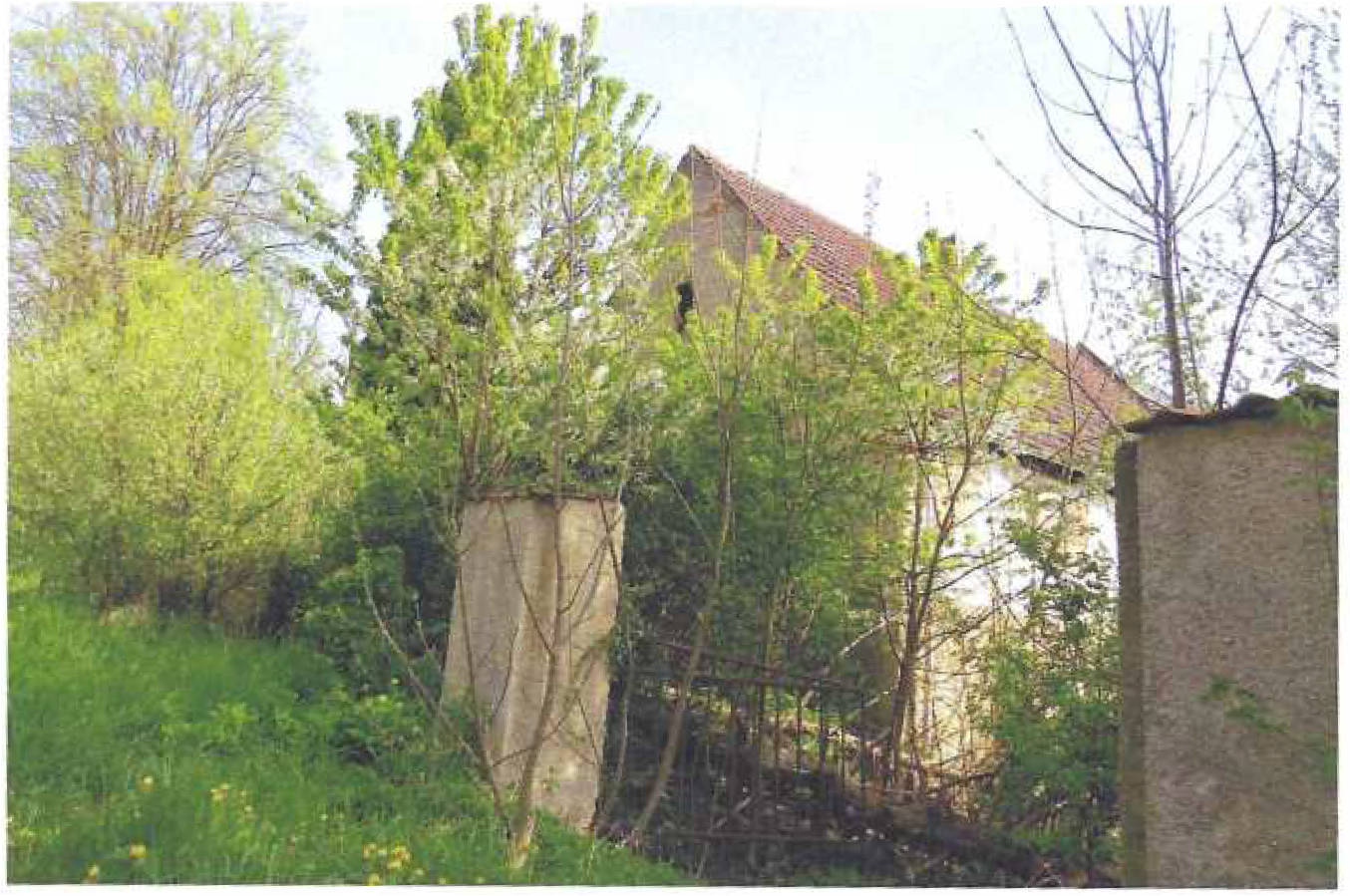 in Ehrenberger Straße 13 13, 04600 Altenburg, Lehnitzsch - Bild 2