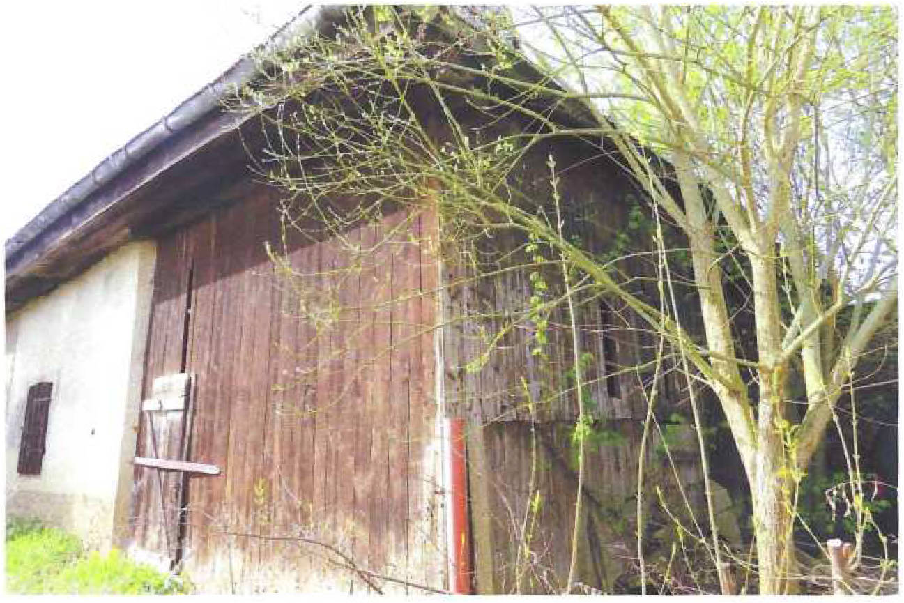 in Ehrenberger Straße 13 13, 04600 Altenburg, Lehnitzsch - Bild 4