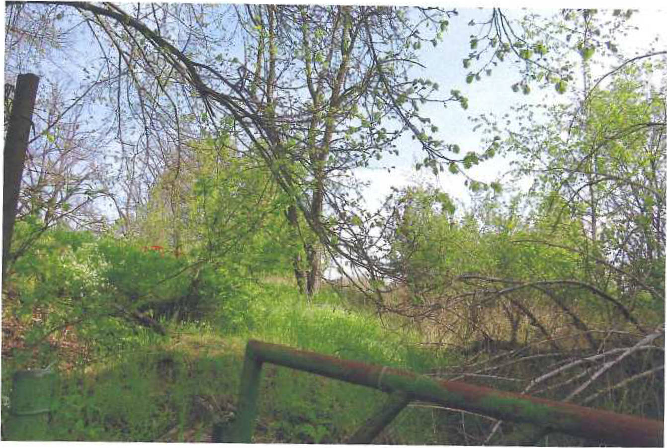thueringen K 0007/2024 Ehrenberger Straße 13 13, 04600 Altenburg, Lehnitzsch 9