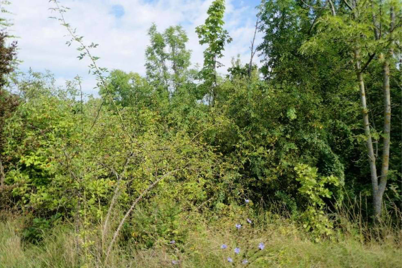unbebautes Grundstück in Unter dem Berge, 00000 Erfurt