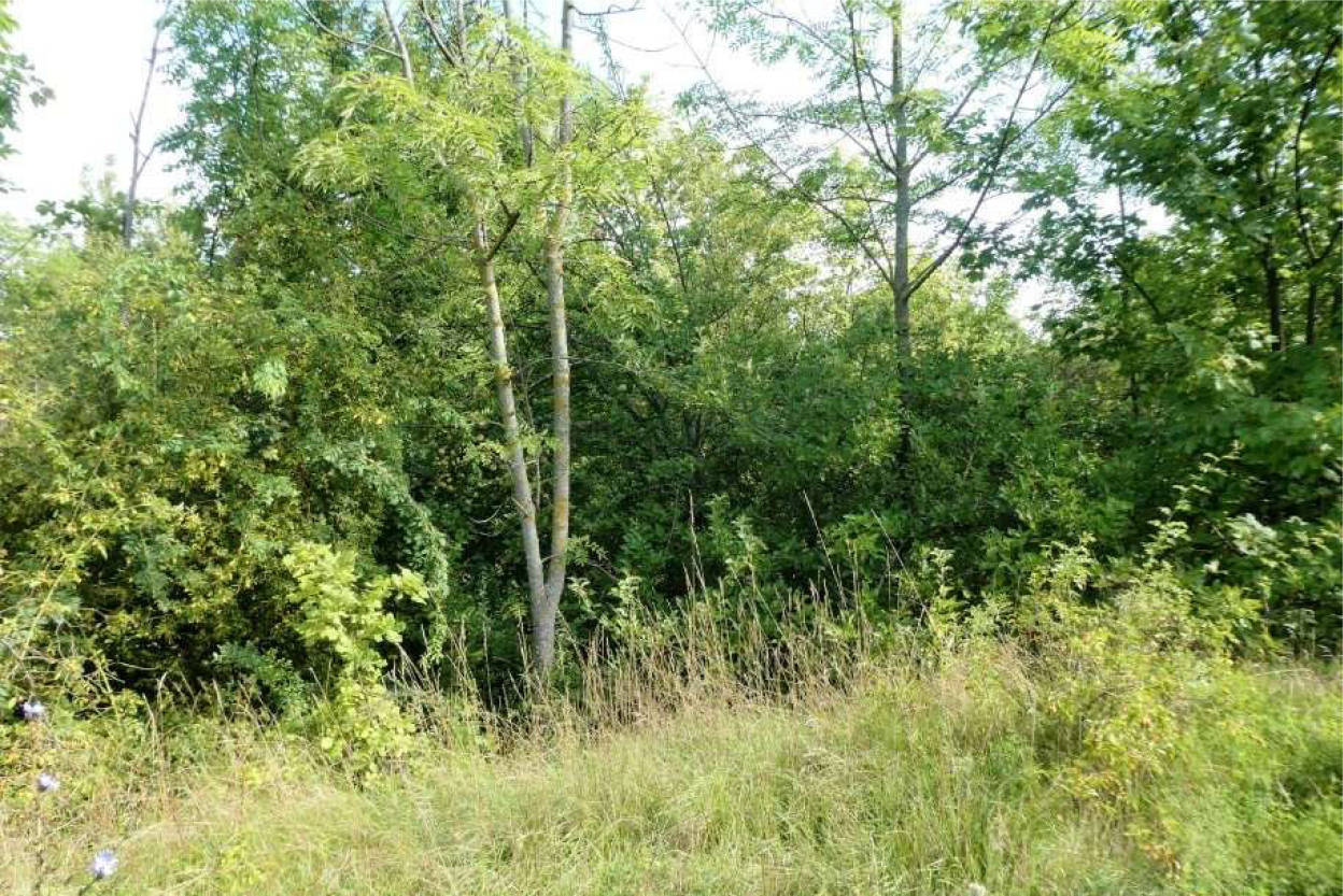unbebautes Grundstück in Unter dem Berge, 00000 Erfurt - Bild 3