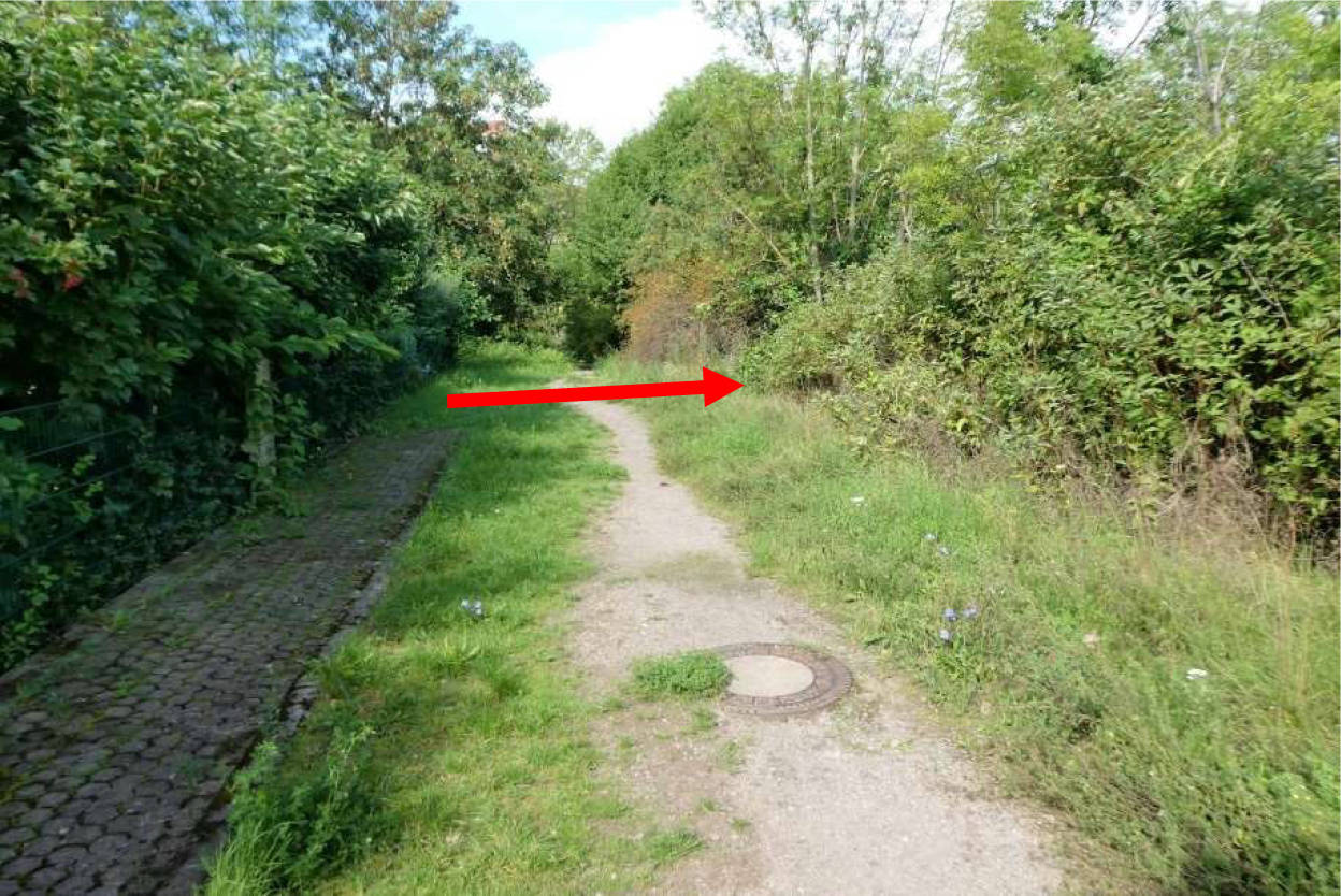 unbebautes Grundstück in Unter dem Berge, 00000 Erfurt - Bild 5