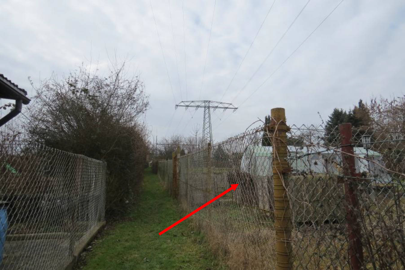 Kleingartenanlage in Nähe Wilchwitzer Weg, 04600 Altenburg