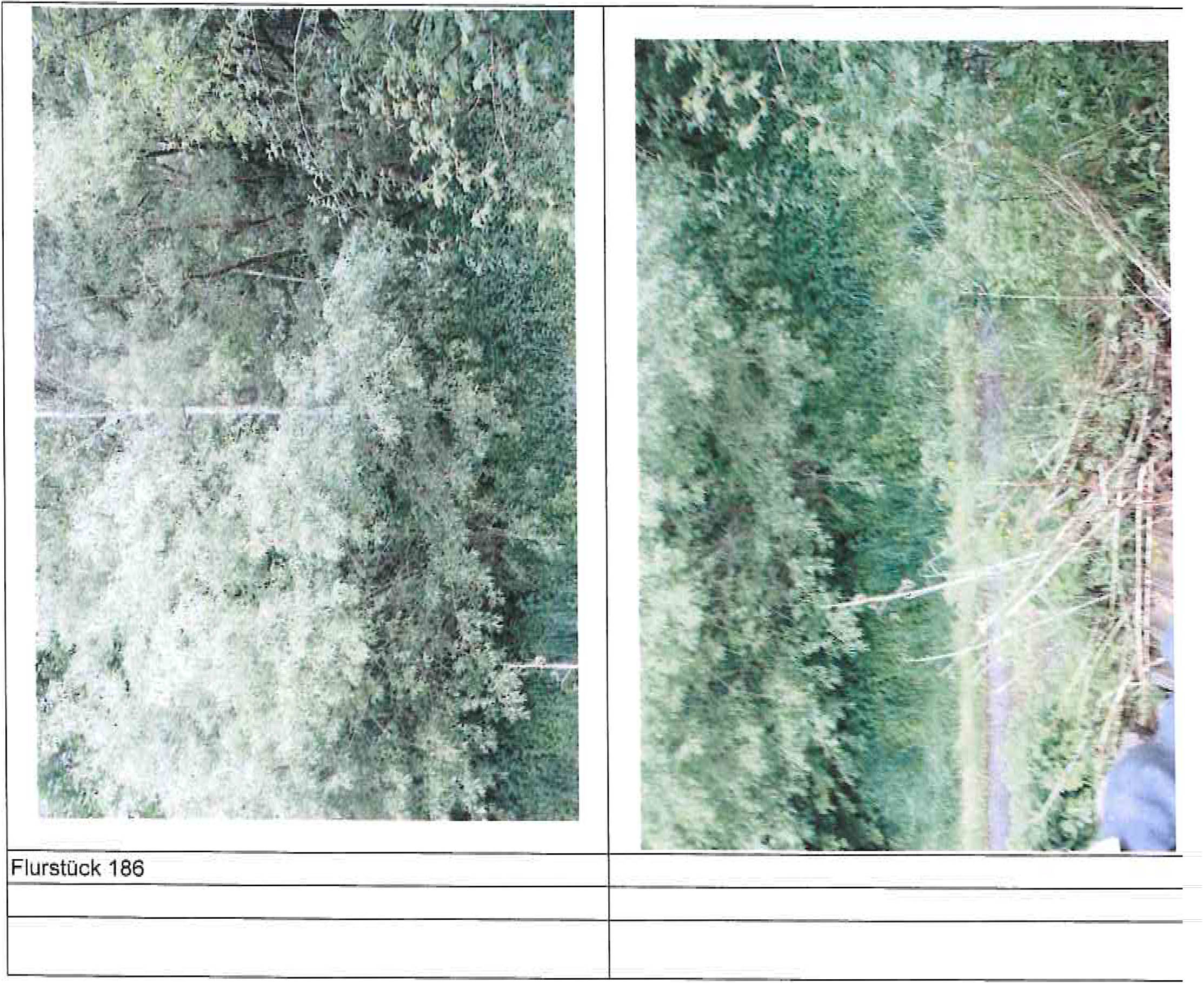 thueringen K 0011/2022 Brunnental, Kralachersteig, 98544 Zella-Mehlis, Benshausen 6