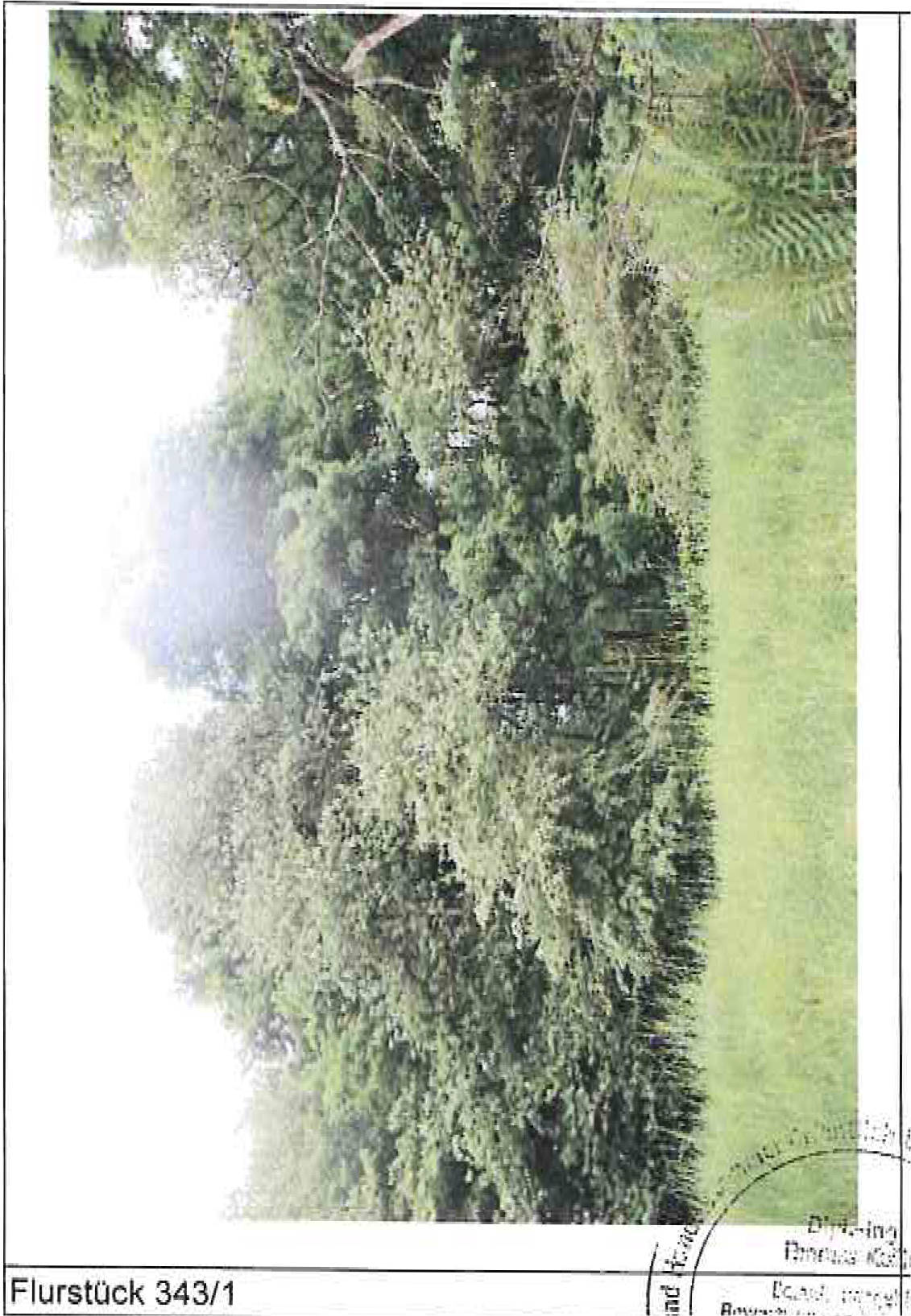 Landwirtschaftsfläche in Brunnental, Kralachersteig, 98544 Zella-Mehlis, Benshausen - Bild 5