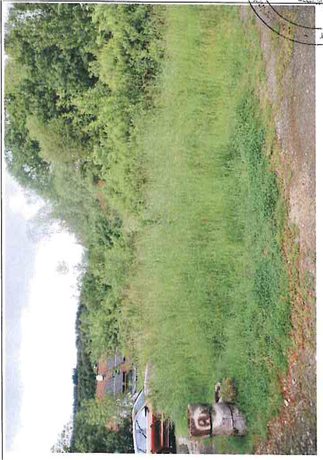 Landwirtschaftsfläche in Brunnental, Kralachersteig, 98544 Zella-Mehlis, Benshausen - Bild 2