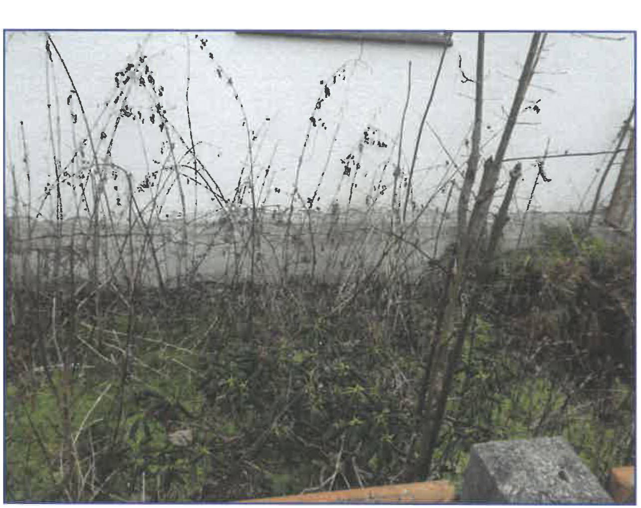 thueringen K 0011/2024 Hauptstraße 25, 98553 Ahlstädt 31