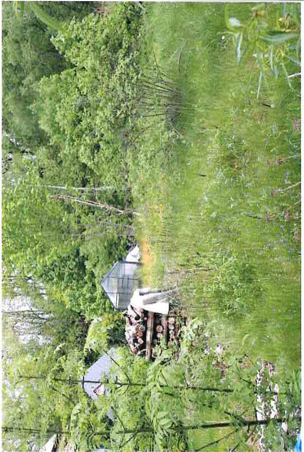 thueringen K 0012/2022 Brunnental, 98544 Zella-Mehlis, Benshausen 7