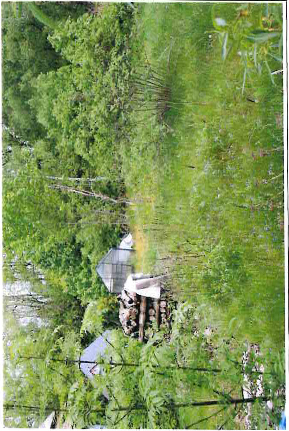 thueringen K 0012/2022 Brunnental, 98544 Zella-Mehlis, Benshausen 10