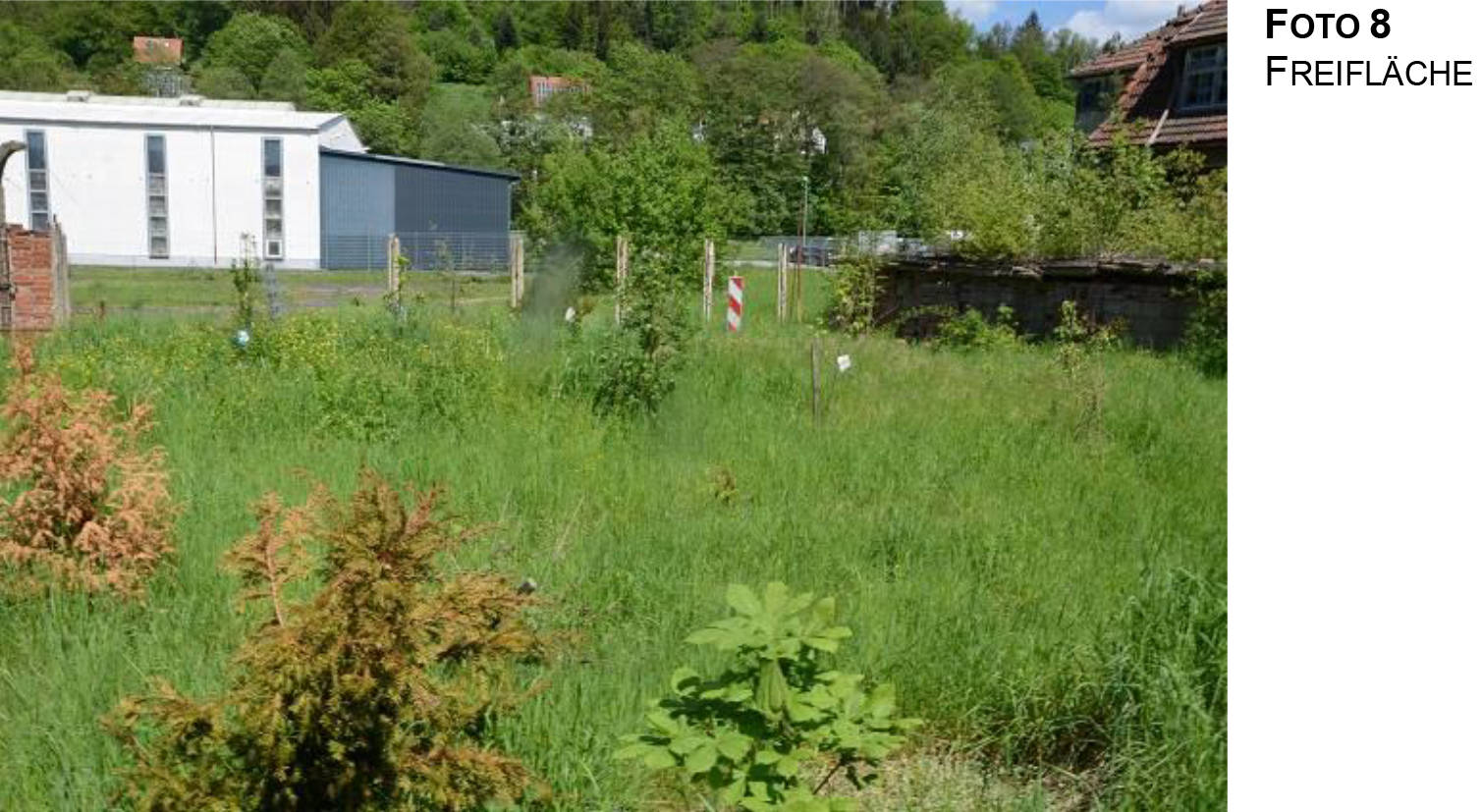 thueringen K 0012/2023 Teichweg 23, 98529 Suhl 14