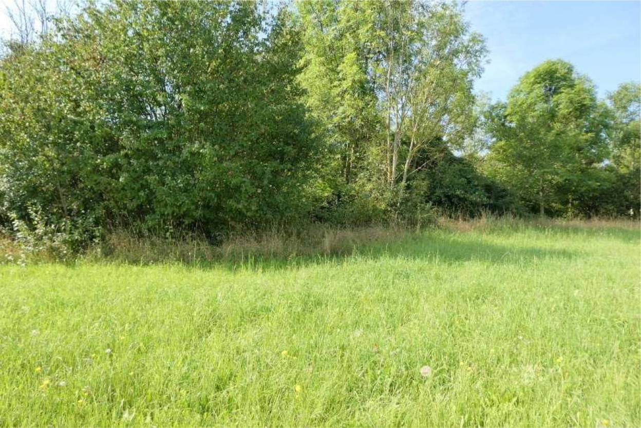 unbebautes Grundstück in Unter dem Berge, 99097 Erfurt, Windischholzhausen