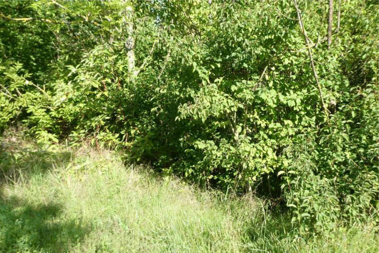 unbebautes Grundstück in Unter dem Berge, 99097 Erfurt, Windischholzhausen - Bild 4