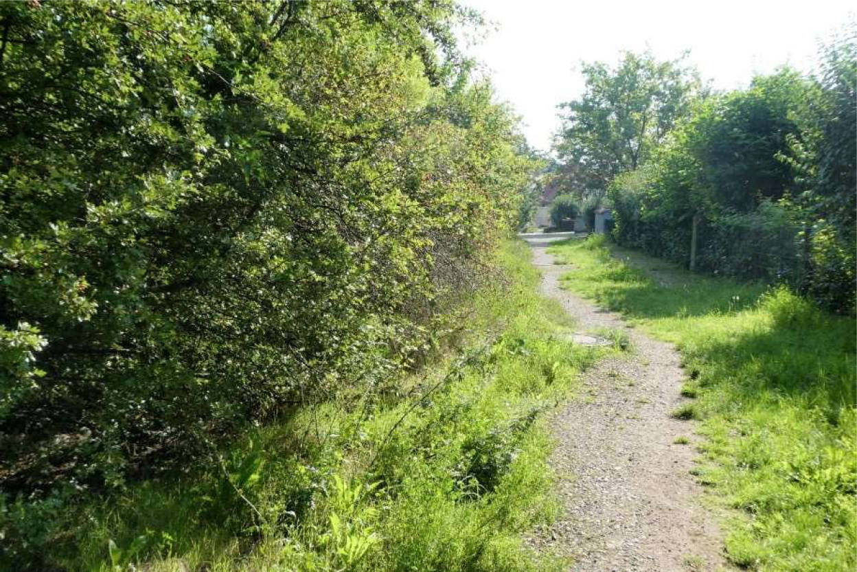 unbebautes Grundstück in Unter dem Berge, 99097 Erfurt, Windischholzhausen - Bild 5