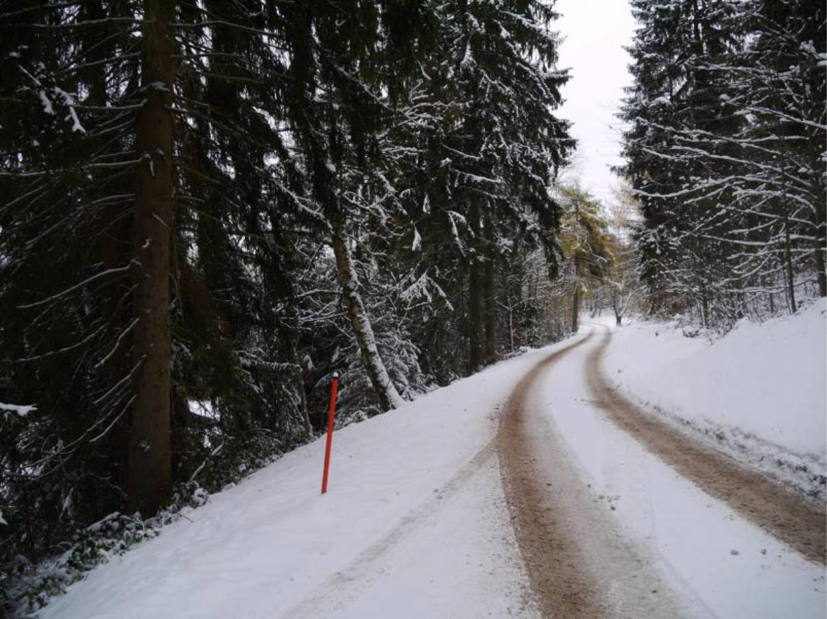 thueringen K0018-2023 Arlesberg, Vorderer Kaltebrunn, 99330 Geratal, Arlesberg