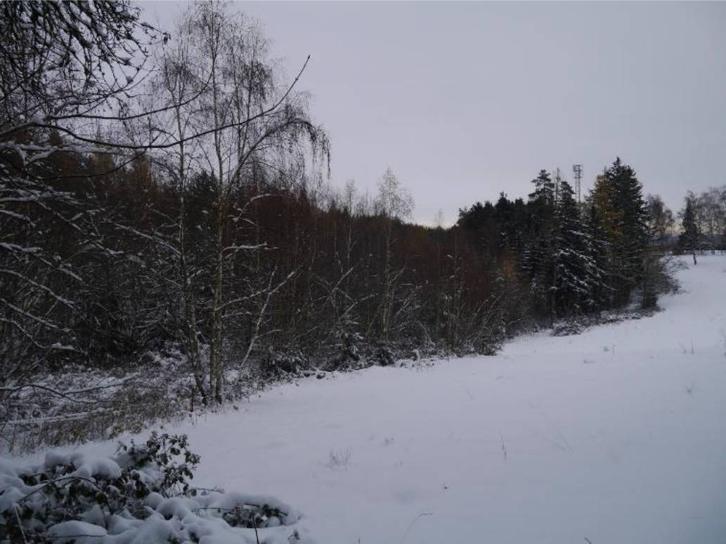 thueringen K0018-2023 Arlesberg, Vorderer Kaltebrunn, 99330 Geratal, Arlesberg