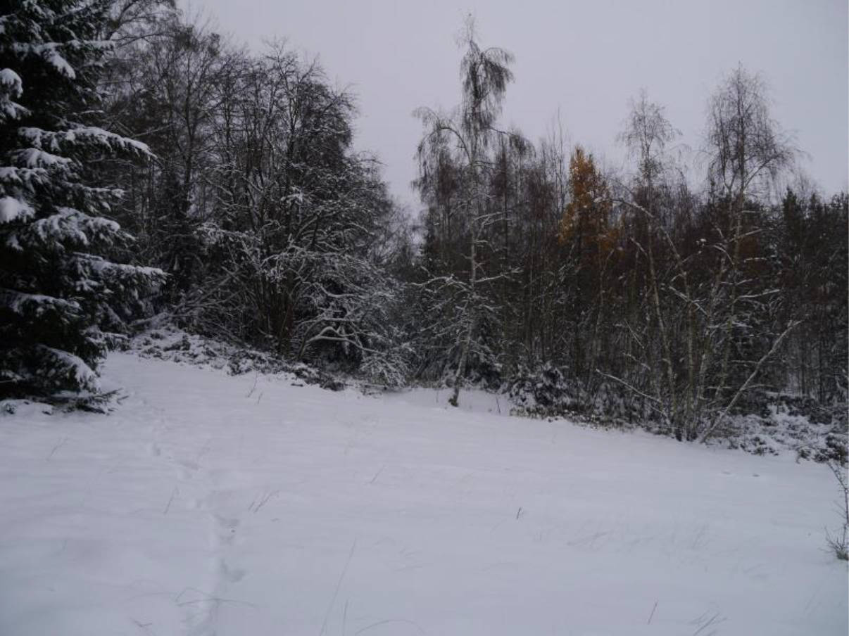 thueringen K0018-2023 Arlesberg, Vorderer Kaltebrunn, 99330 Geratal, Arlesberg