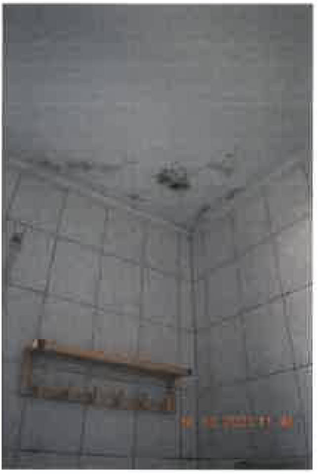 thueringen K 0018/2024 Am Brachberg 15, 99428 Landgemeinde Grammetal, Ulla 7