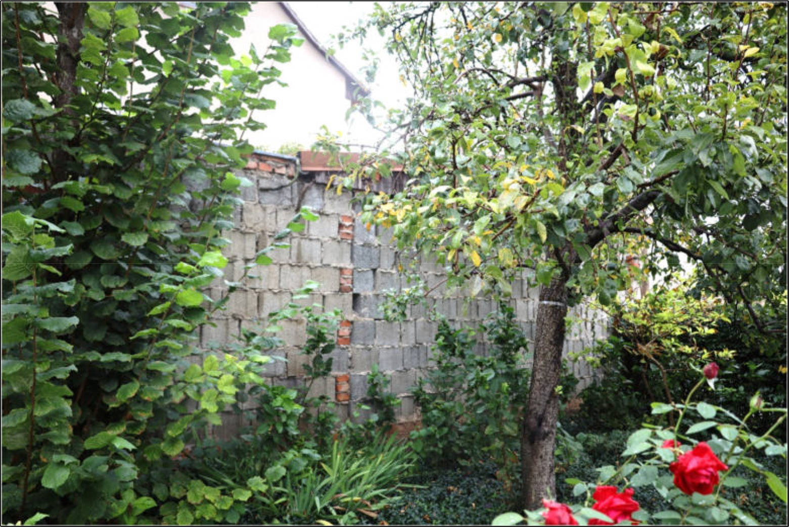 thueringen K0030-2024 August-Bebel-Str. 9, 99634 Straußfurt, Straußfurt