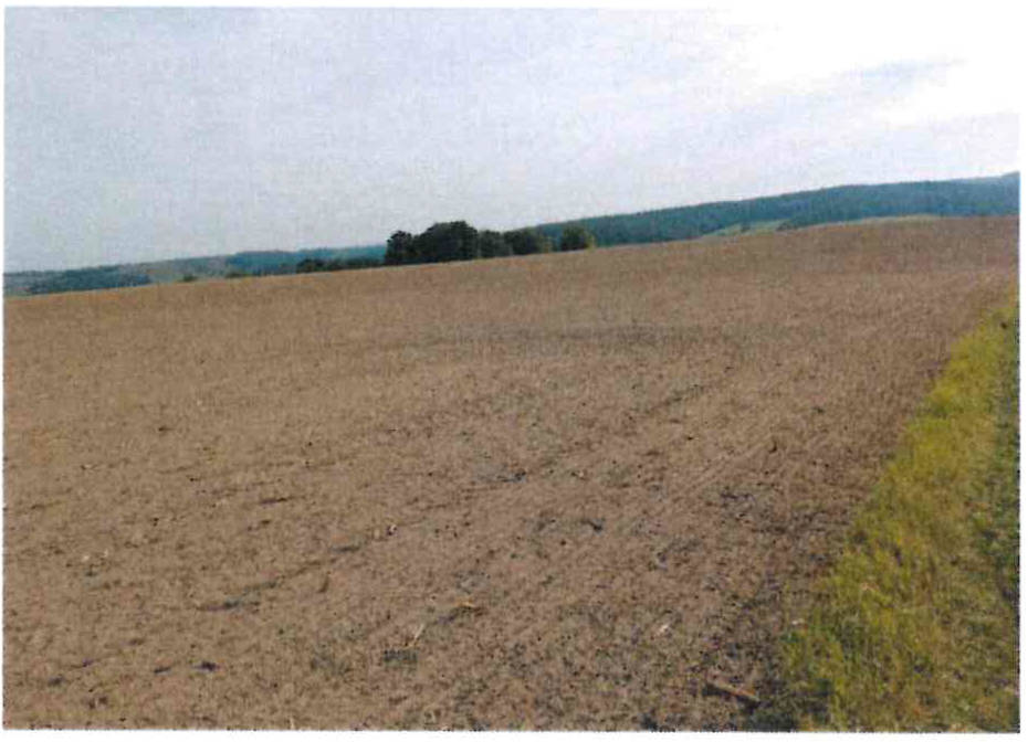 land- und forstwirtschaftlich genutztes Grundstück in Großsaara, 07589 Saara